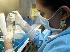 Министерство здравоохранения распространило сообщение о работе, проделанной против «свиного гриппа»